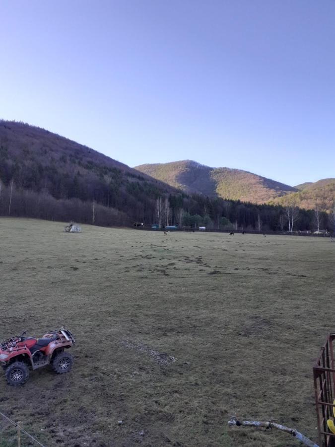 Pensiunea Natura Sadu Sibiu Bagian luar foto