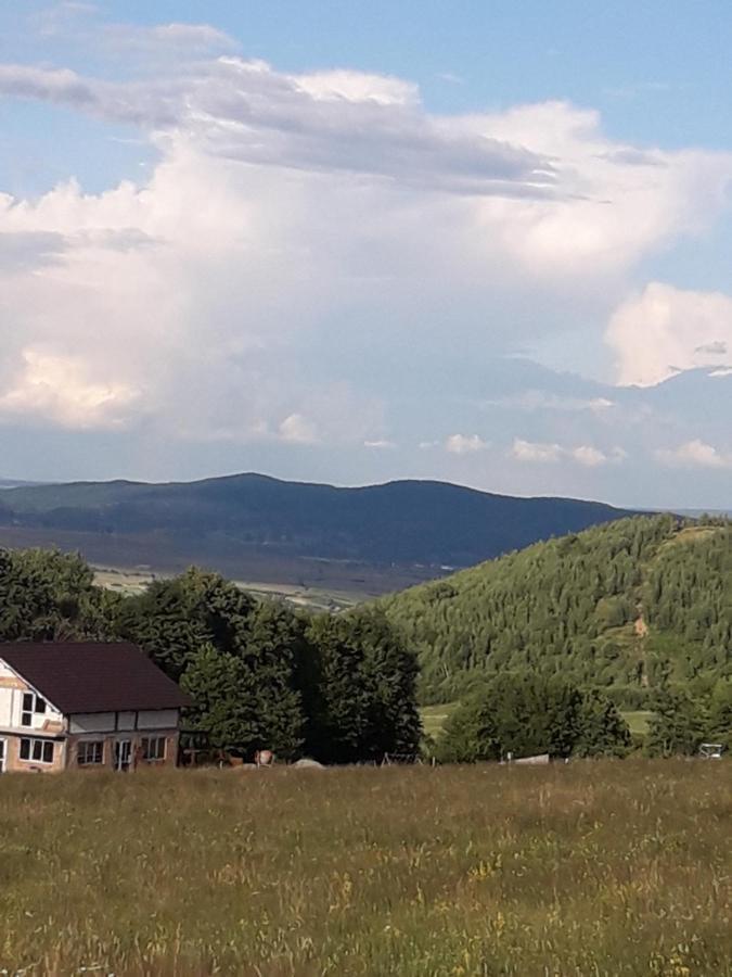 Pensiunea Natura Sadu Sibiu Bagian luar foto