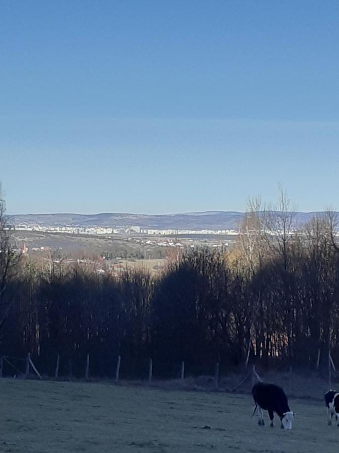 Pensiunea Natura Sadu Sibiu Bagian luar foto