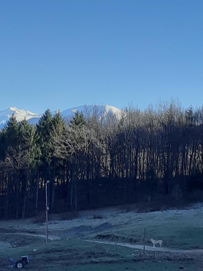 Pensiunea Natura Sadu Sibiu Bagian luar foto