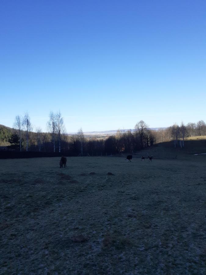 Pensiunea Natura Sadu Sibiu Bagian luar foto