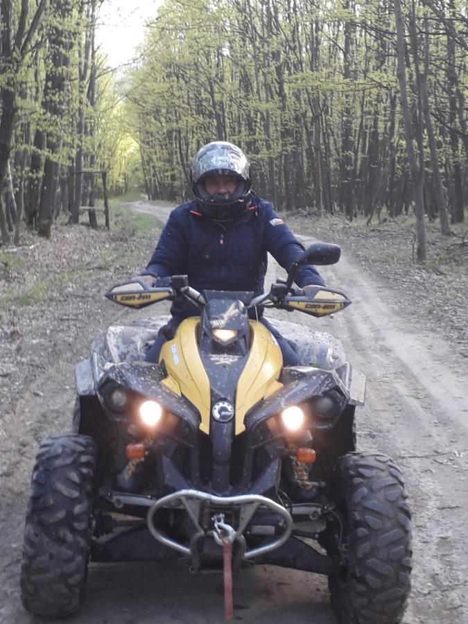 Pensiunea Natura Sadu Sibiu Bagian luar foto