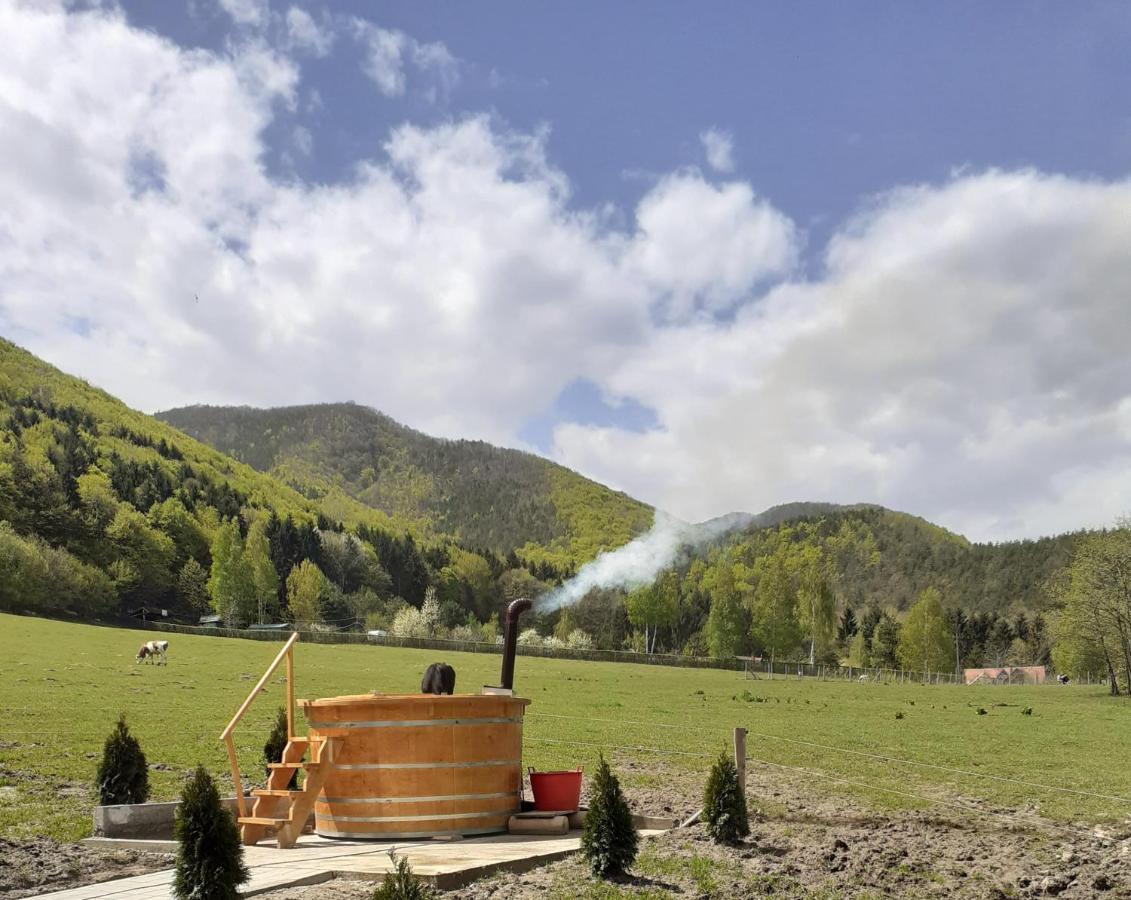 Pensiunea Natura Sadu Sibiu Bagian luar foto