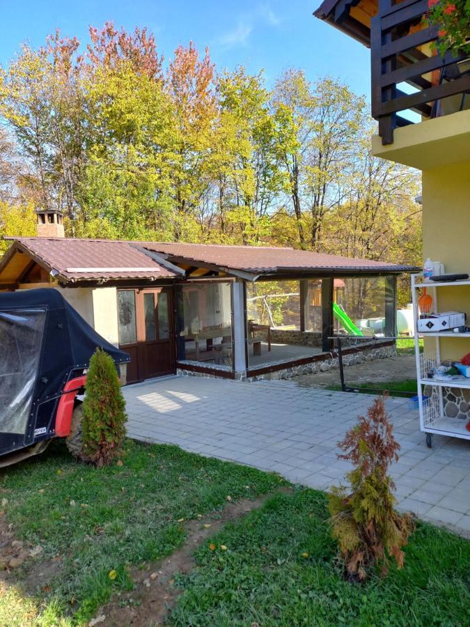 Pensiunea Natura Sadu Sibiu Bagian luar foto