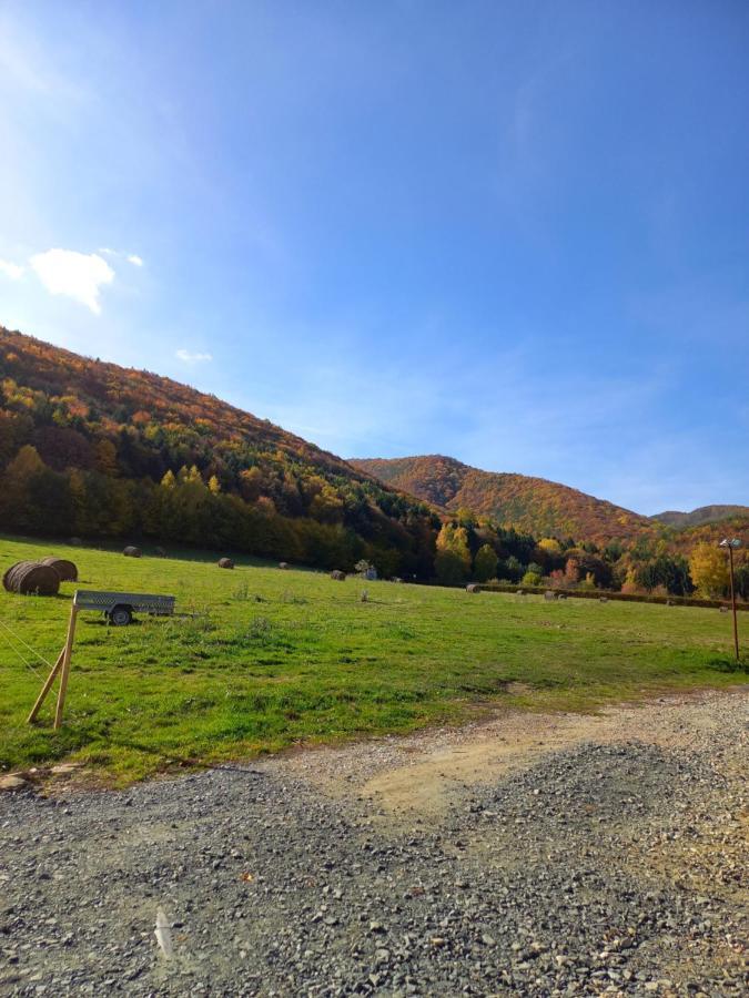Pensiunea Natura Sadu Sibiu Bagian luar foto
