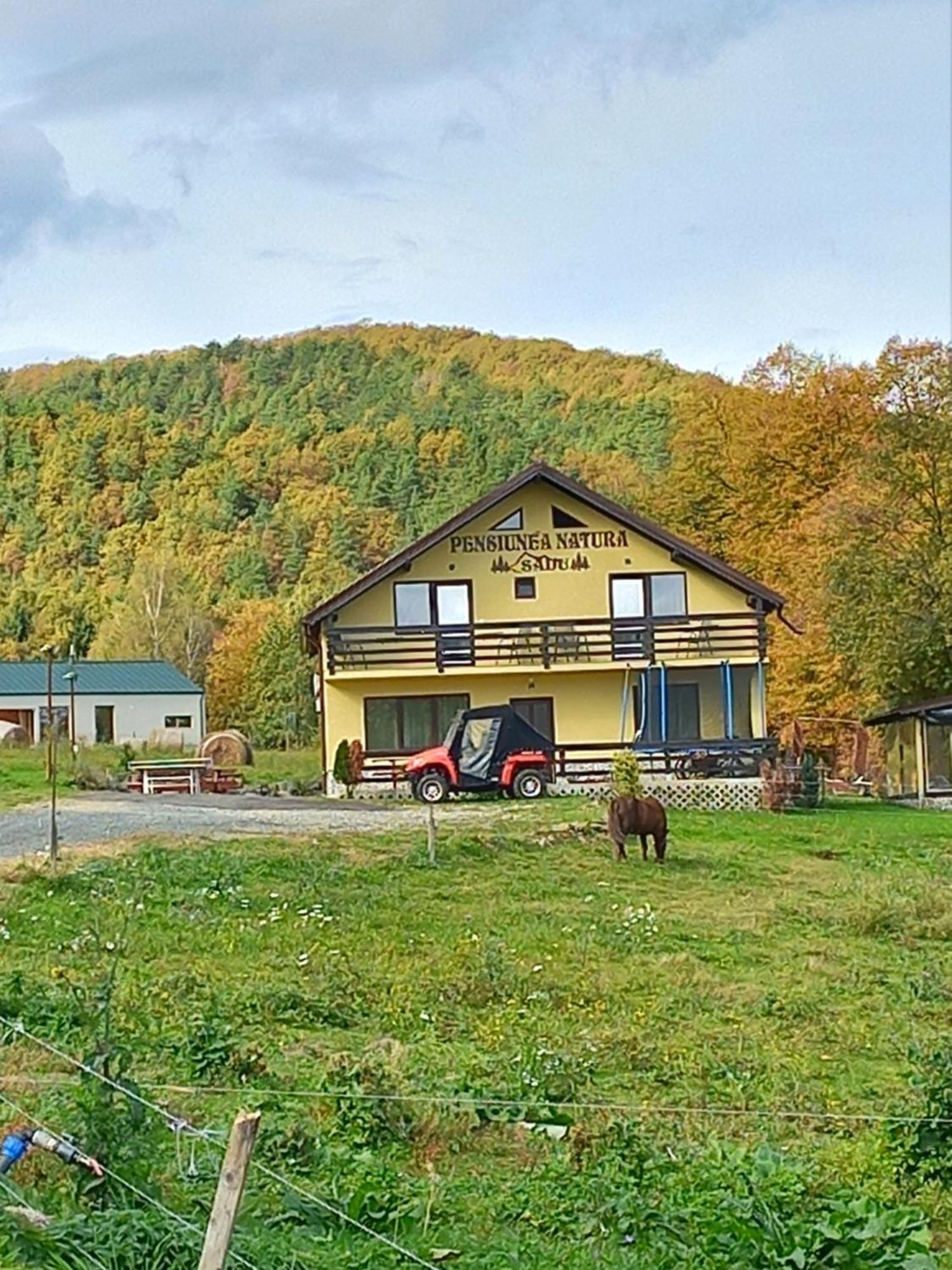 Pensiunea Natura Sadu Sibiu Bagian luar foto