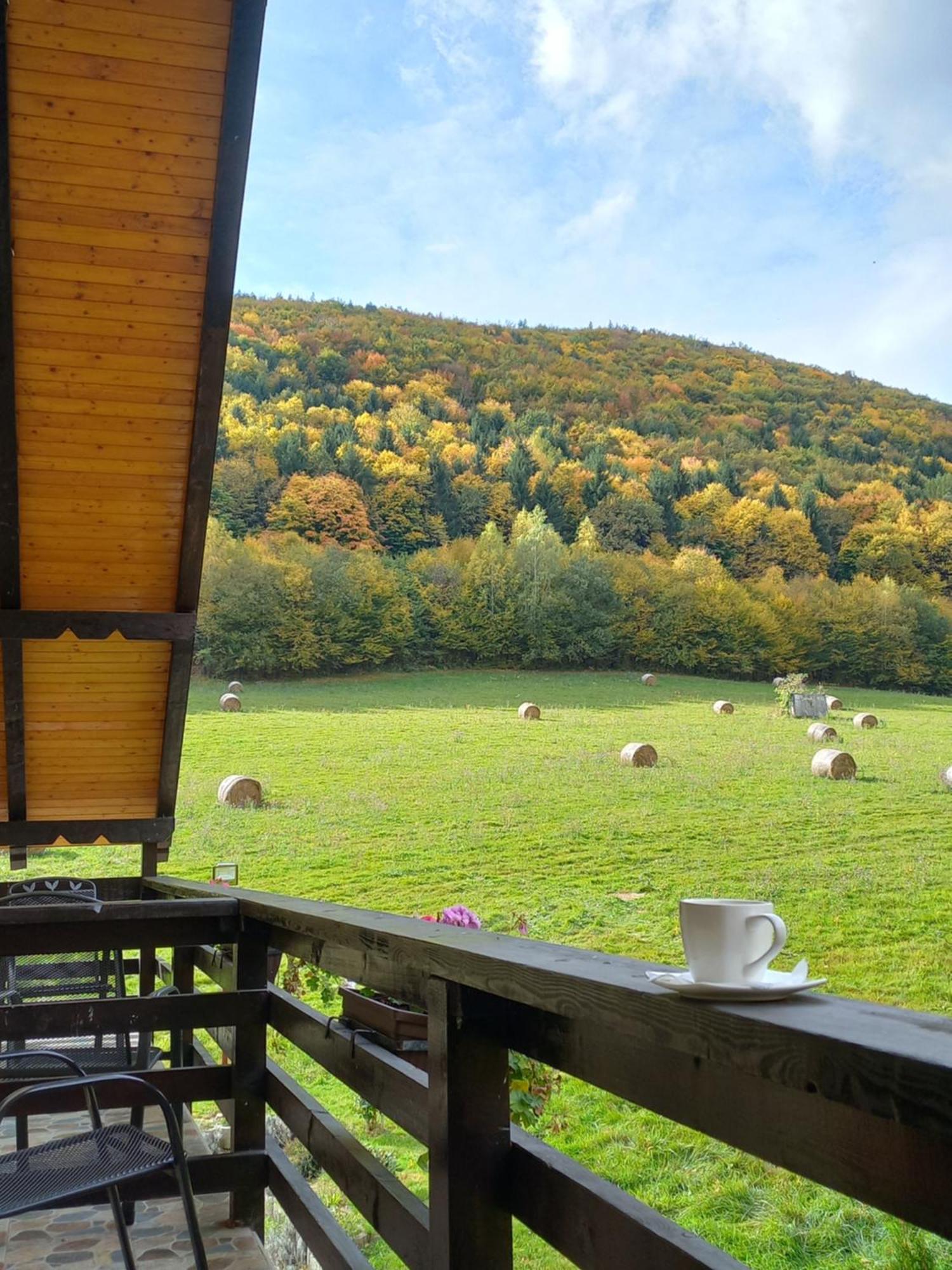 Pensiunea Natura Sadu Sibiu Bagian luar foto