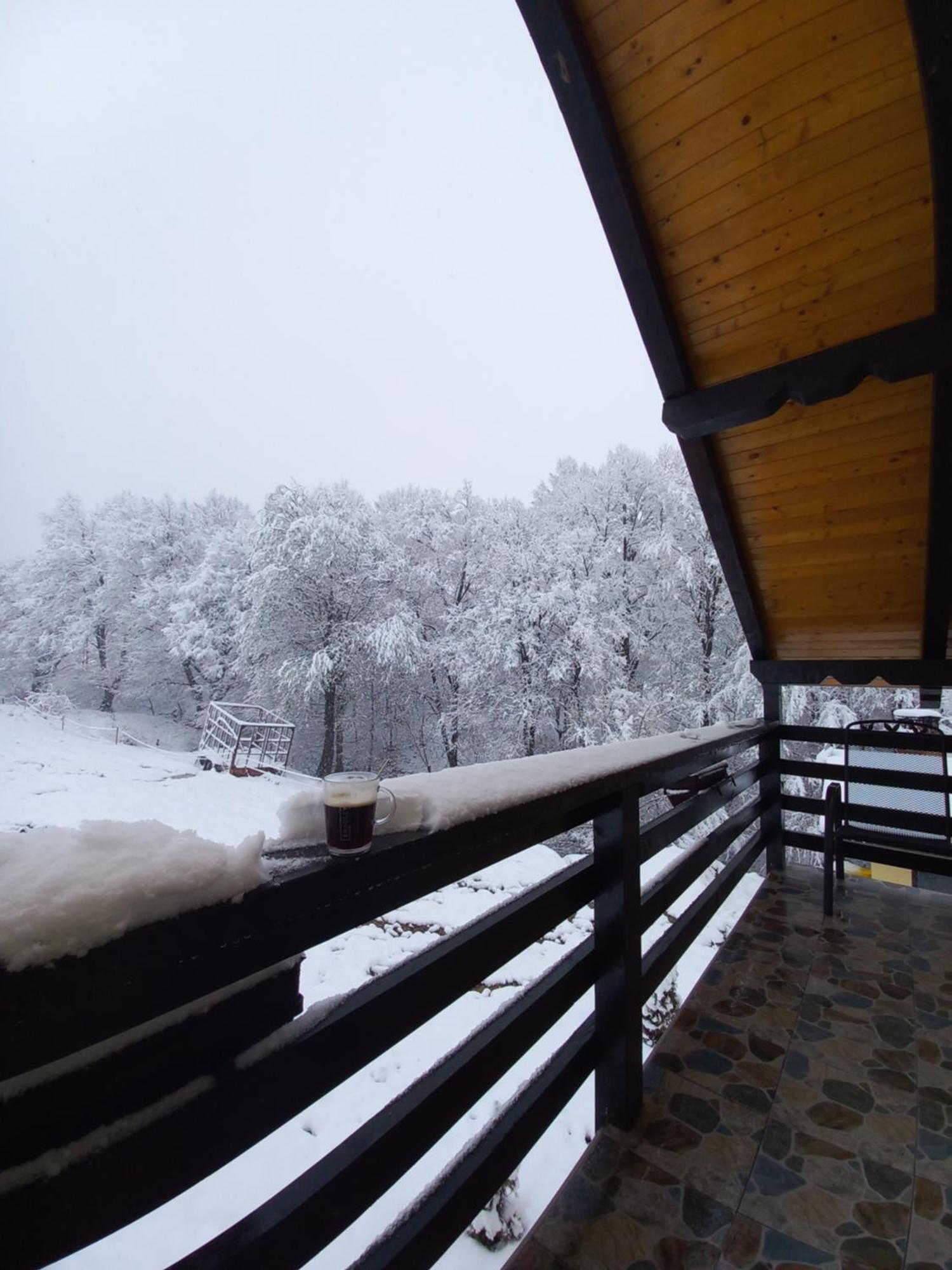 Pensiunea Natura Sadu Sibiu Bagian luar foto