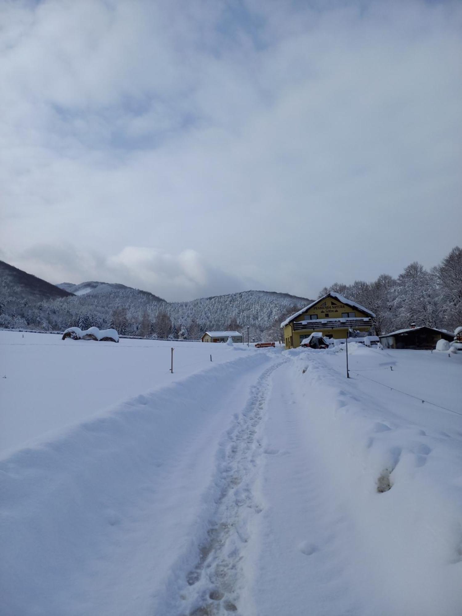 Pensiunea Natura Sadu Sibiu Bagian luar foto