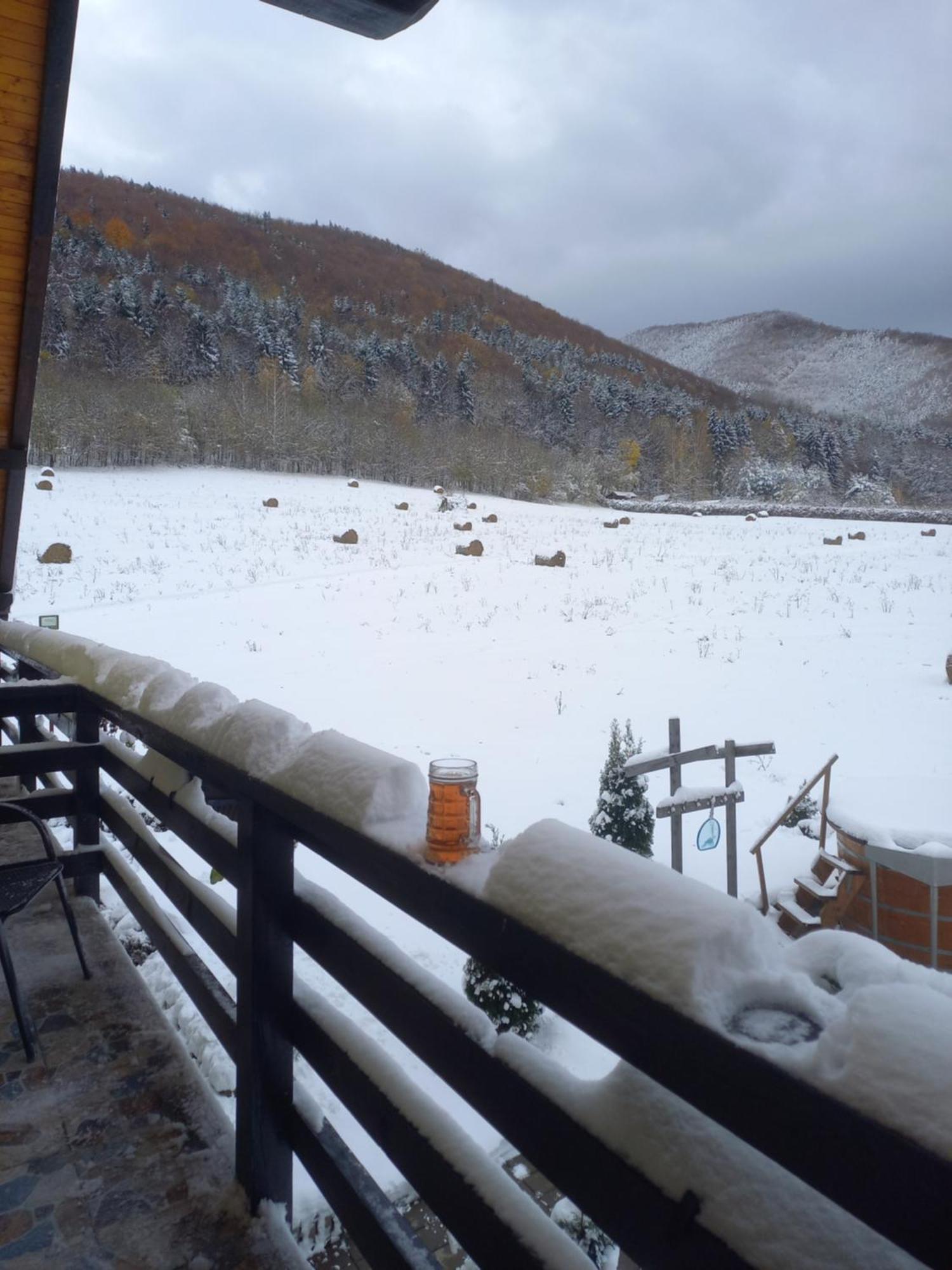 Pensiunea Natura Sadu Sibiu Bagian luar foto